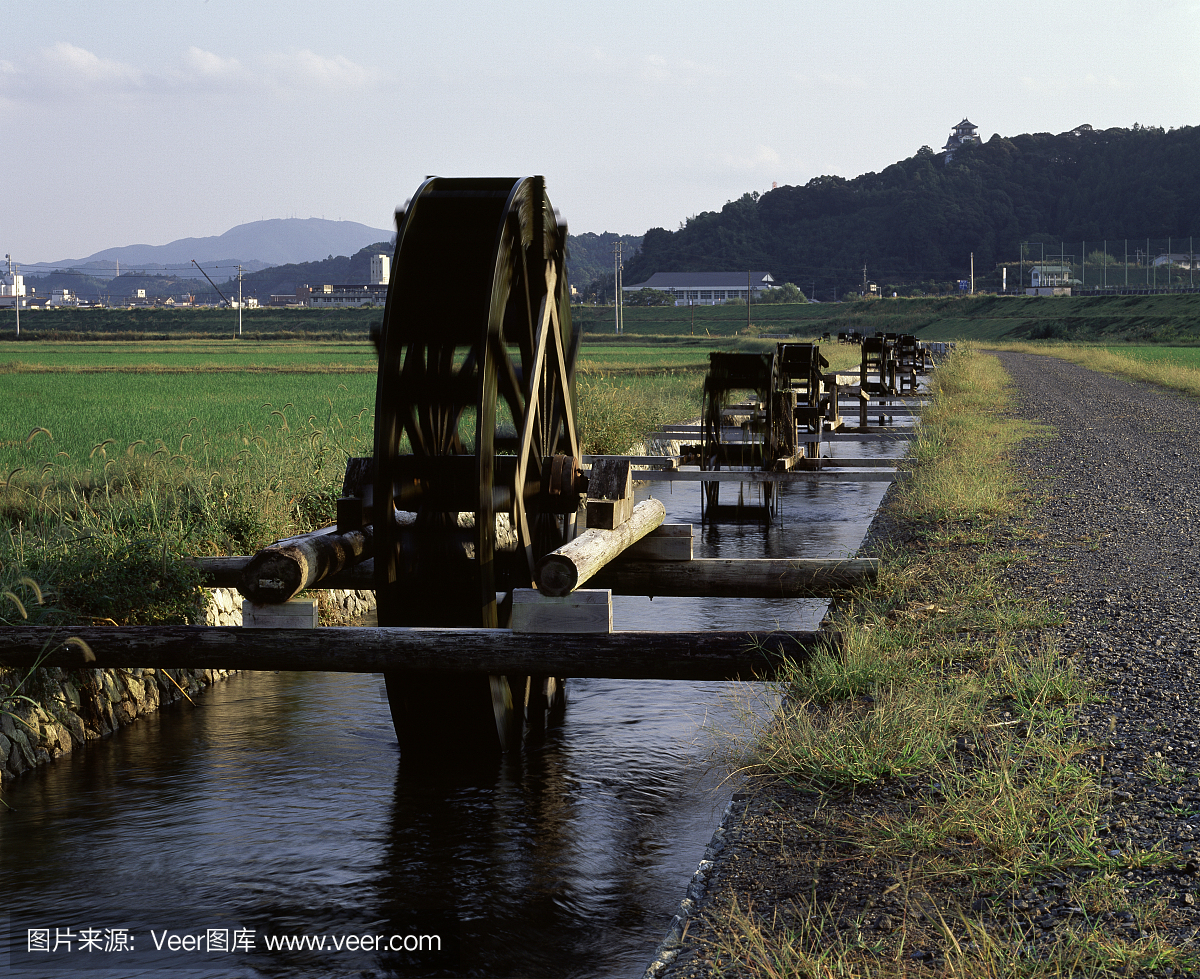 高知县,日本高知县,日本四岛国中南部港市,四国
