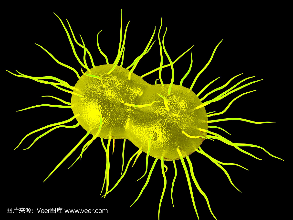 淋病奈瑟菌细菌,艺术品