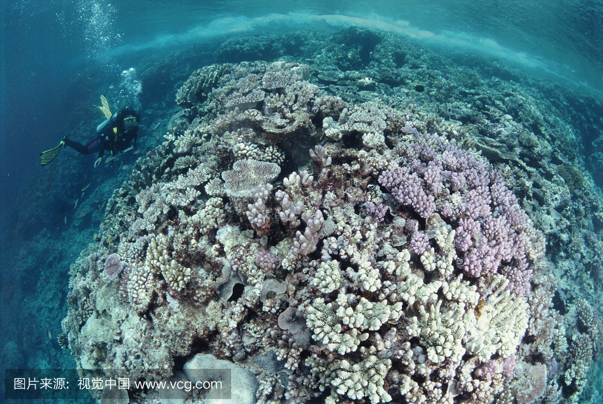 自然,人,发现号,档案