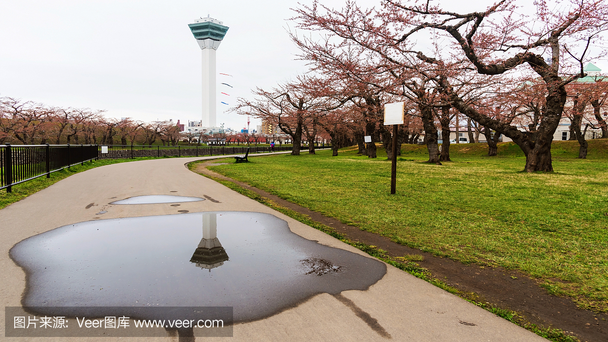 Goryokaku公园和樱花与在北海道函馆塔反射