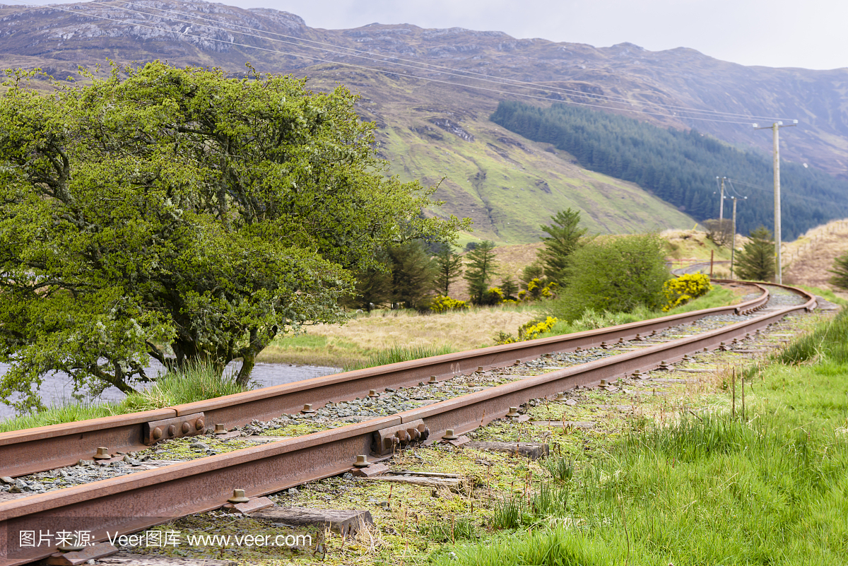 气候,爱尔兰文化,狭窄的,环境