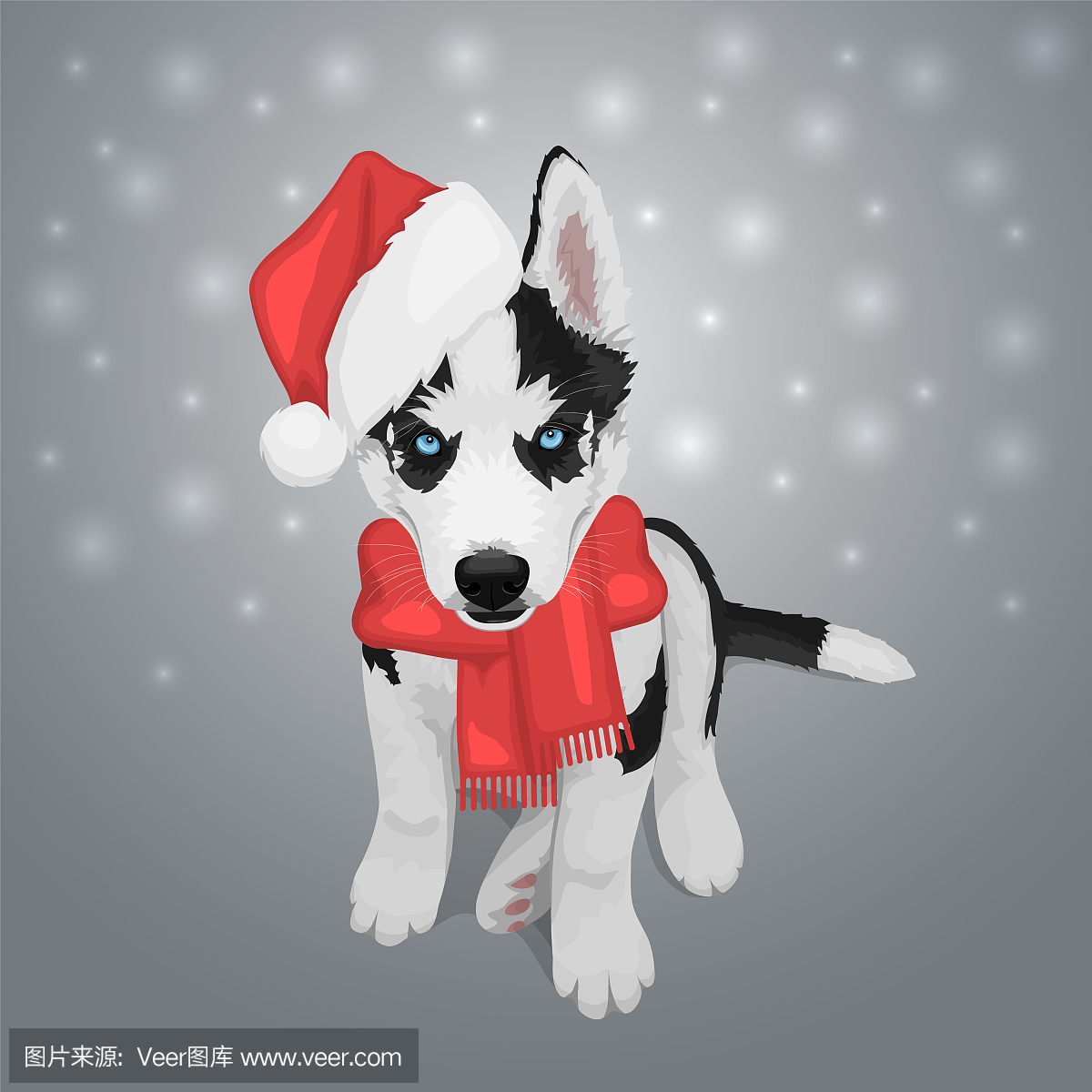 雪橇犬,雪撬狗,阿拉斯加犬,哈士奇