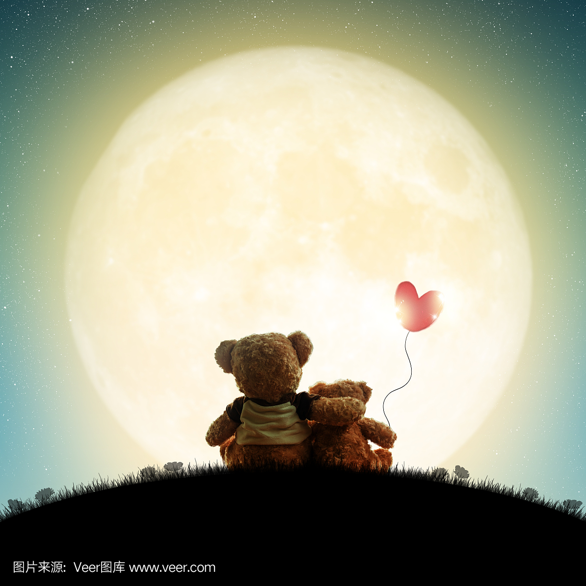 熊,熊科,大熊,结婚庆典