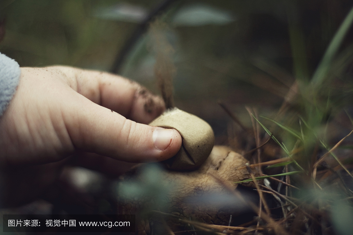 人,孢子体,拿着,蘑菇