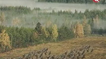 История государства Ро История государства Ро
