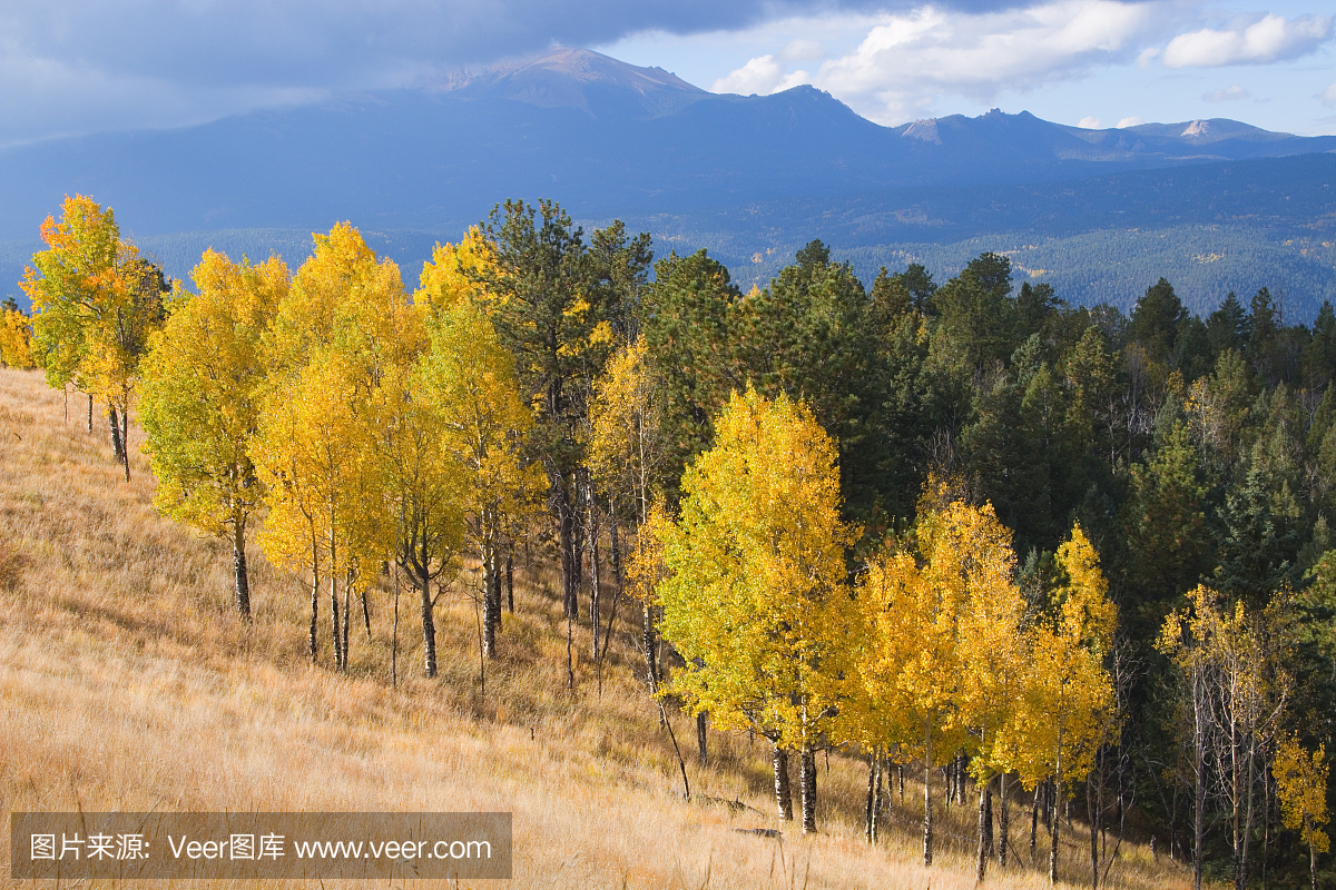 荆棘山峰秋天科罗拉多州