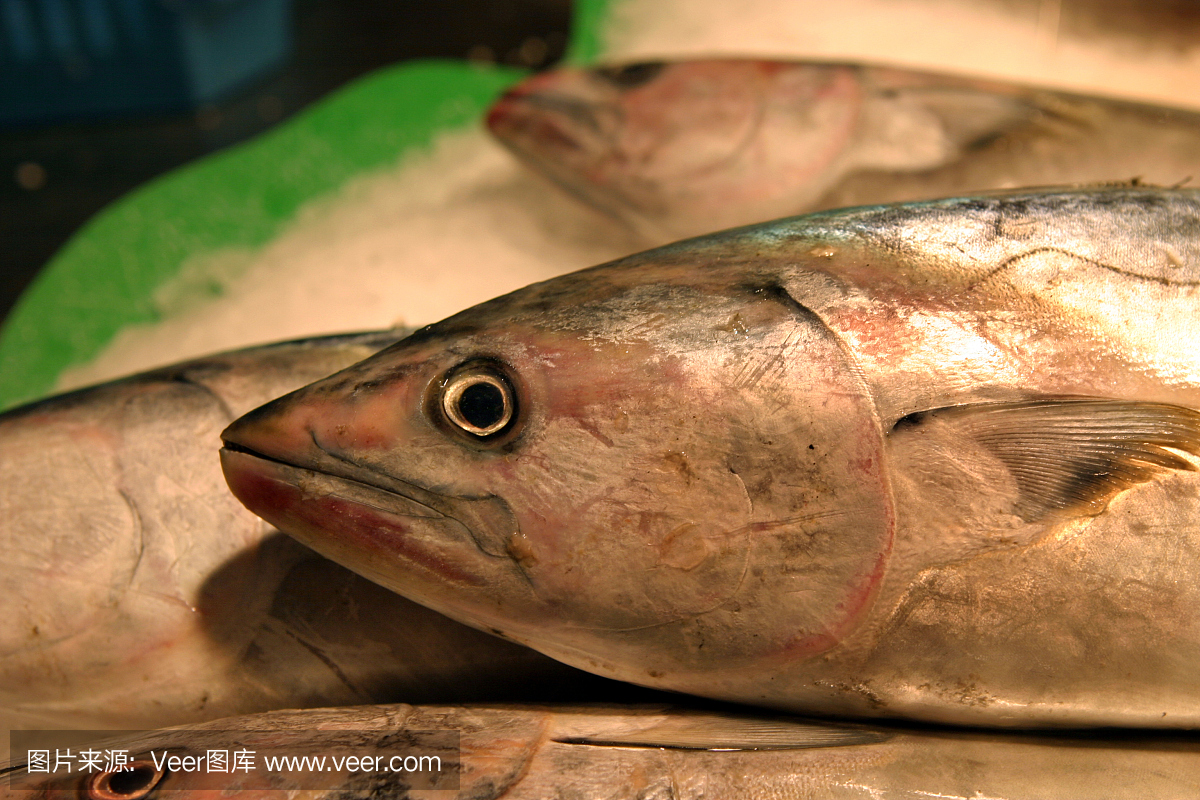 鲜鱼在海鲜市场巴塞罗那