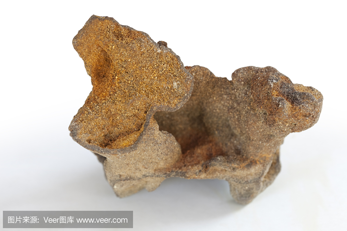 松木荒地,白瑞思松树,贫瘠松林,百瑞斯松林