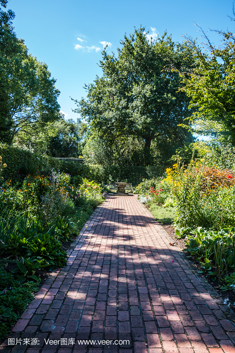 汉密尔顿花园,新西兰