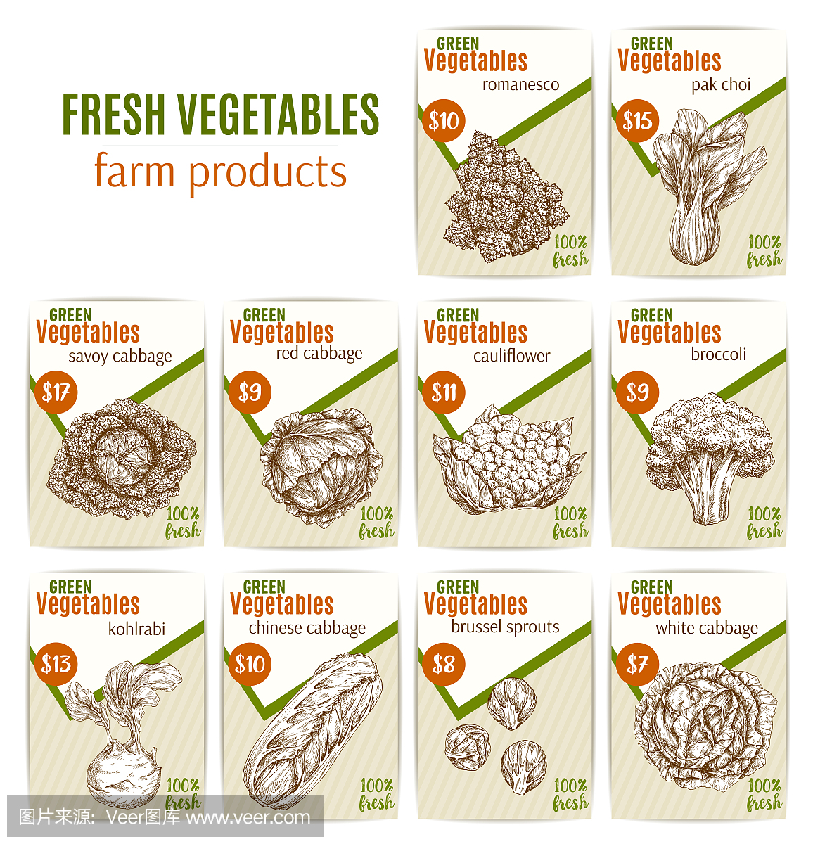 矢量蔬菜或素食素描价格菜单