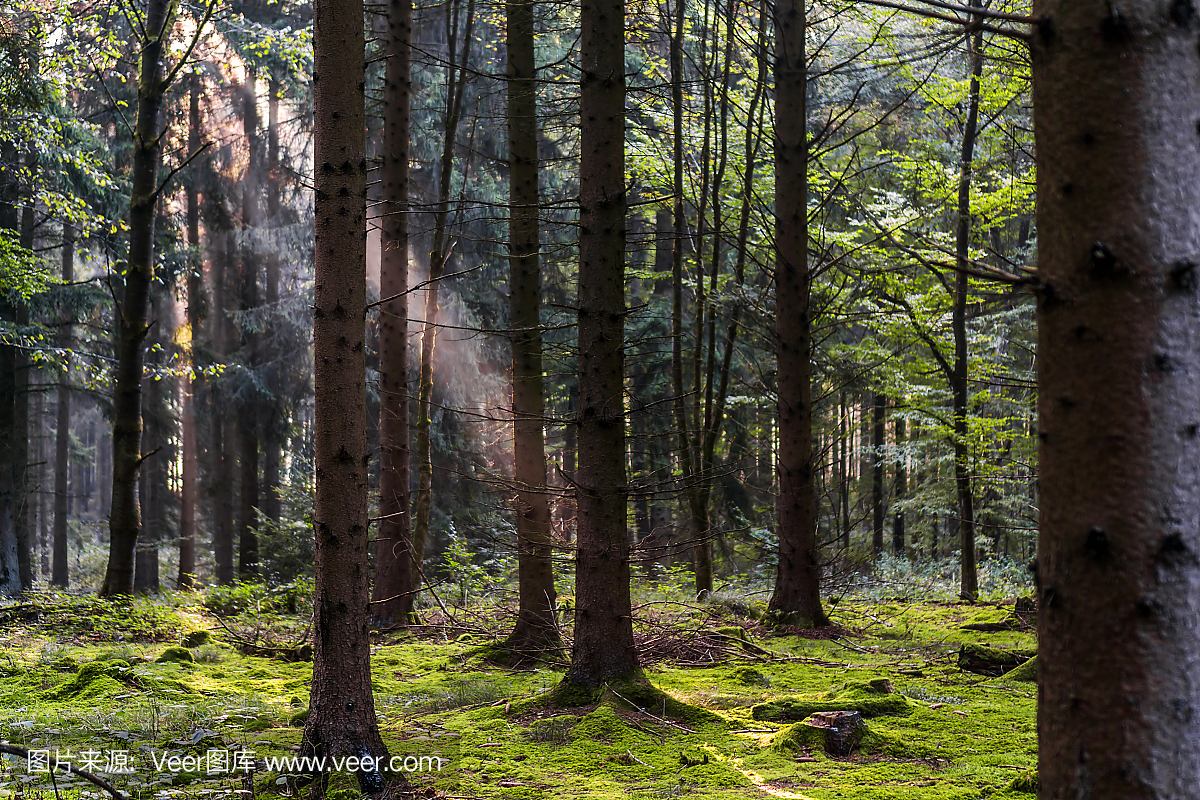 天无绝人之路,车到山前必有路,黑暗中总是有一