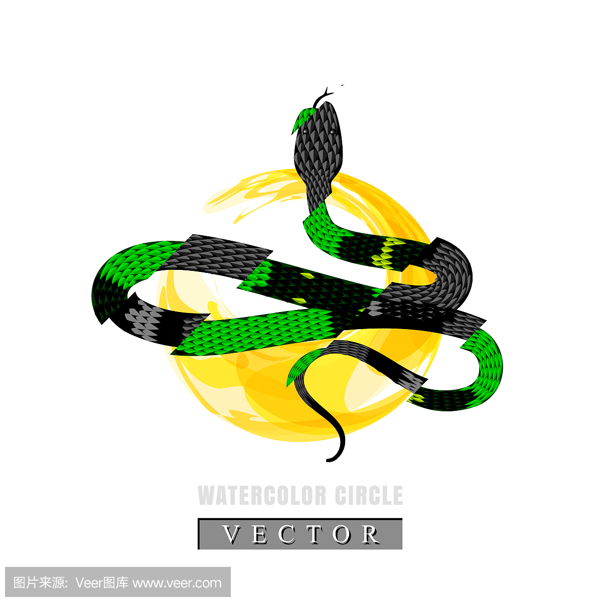 波兰,英文字母T,野生动物,球座