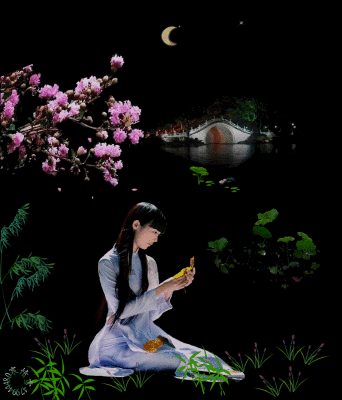 壁纸 花 桌面 342_400 gif 动态图 动图