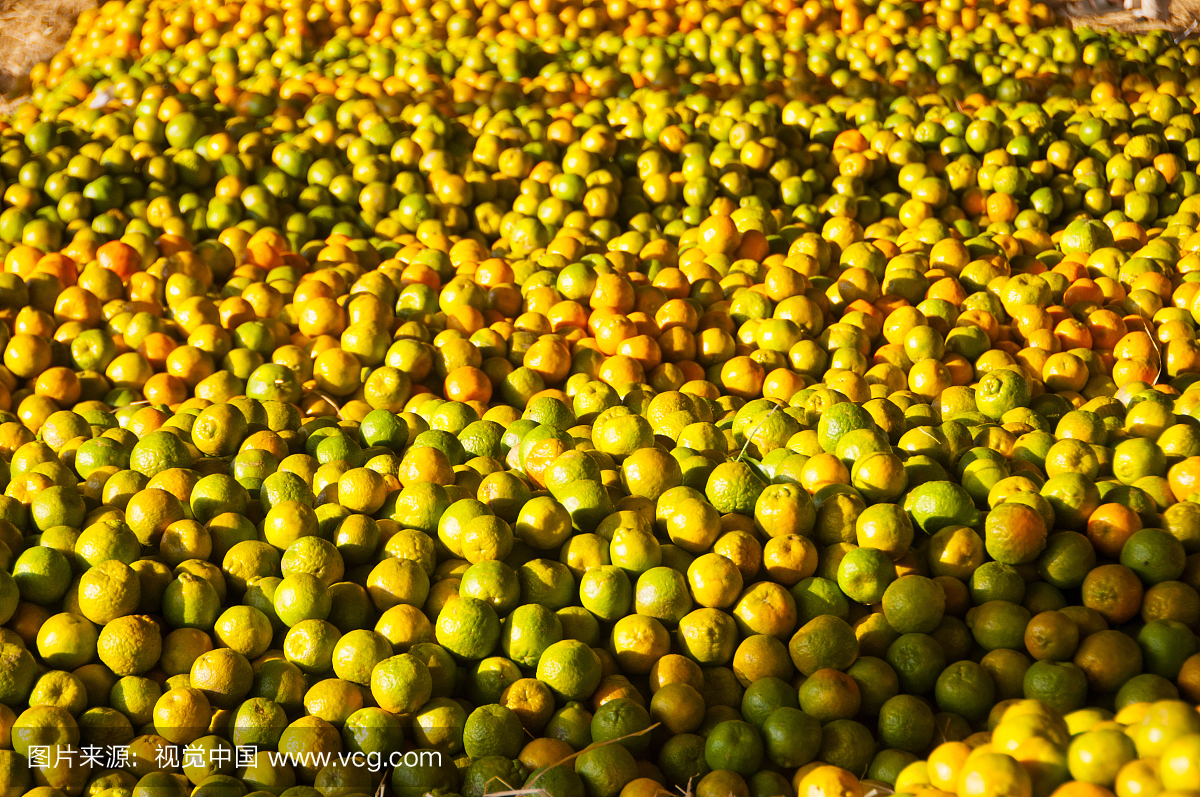 橙子在批发市场在那格浦尔