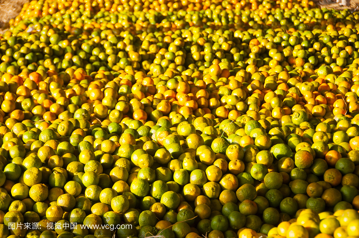 橙子在批发市场在那格浦尔