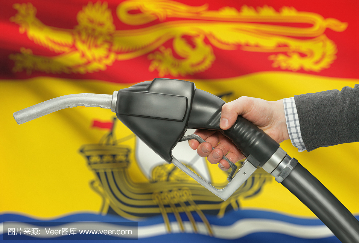 燃油泵喷嘴与加拿大各省的旗帜在背景 - 新不伦