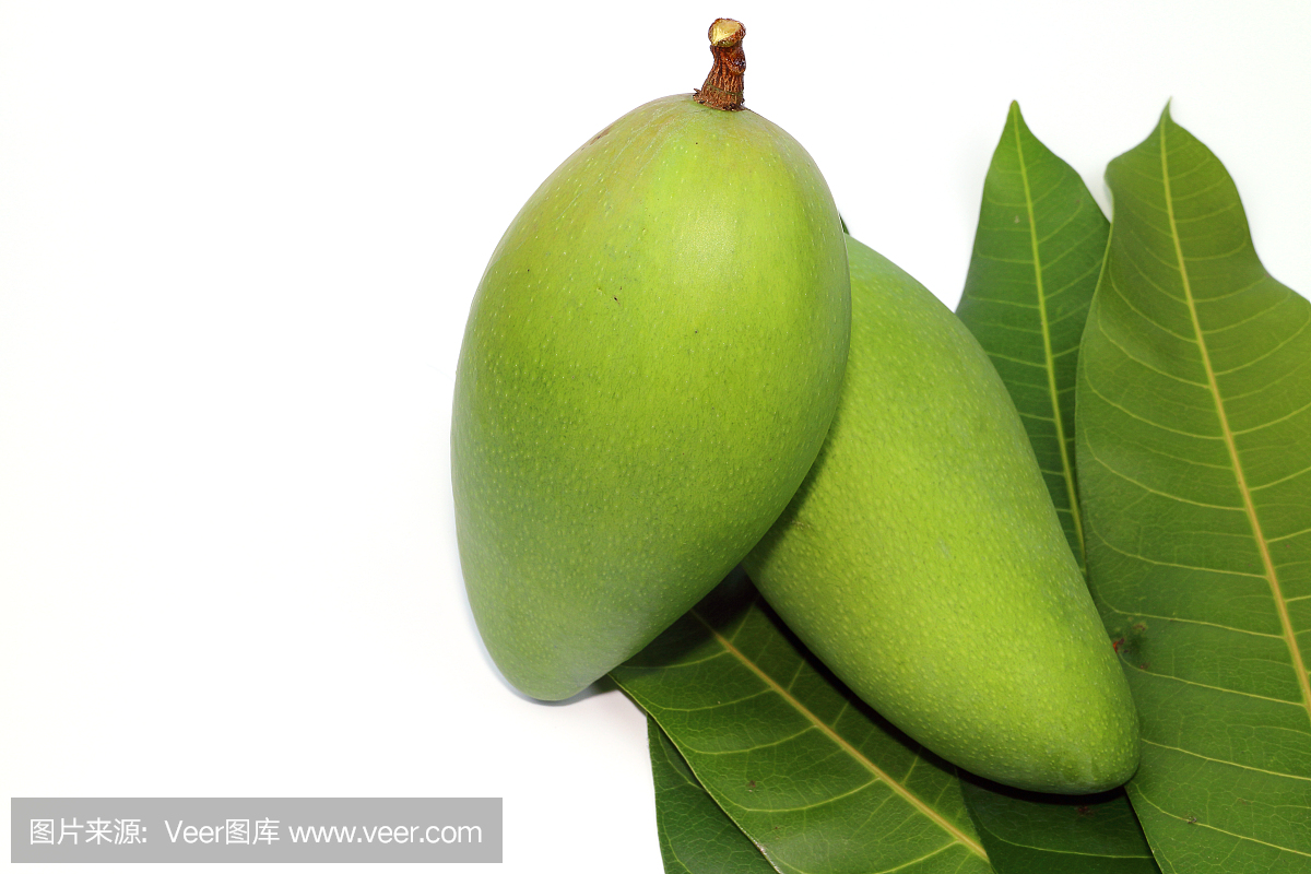 在白色背景上的绿色芒果
