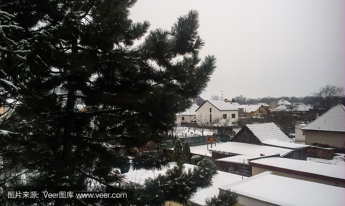多雪的斯洛伐克国家边景观