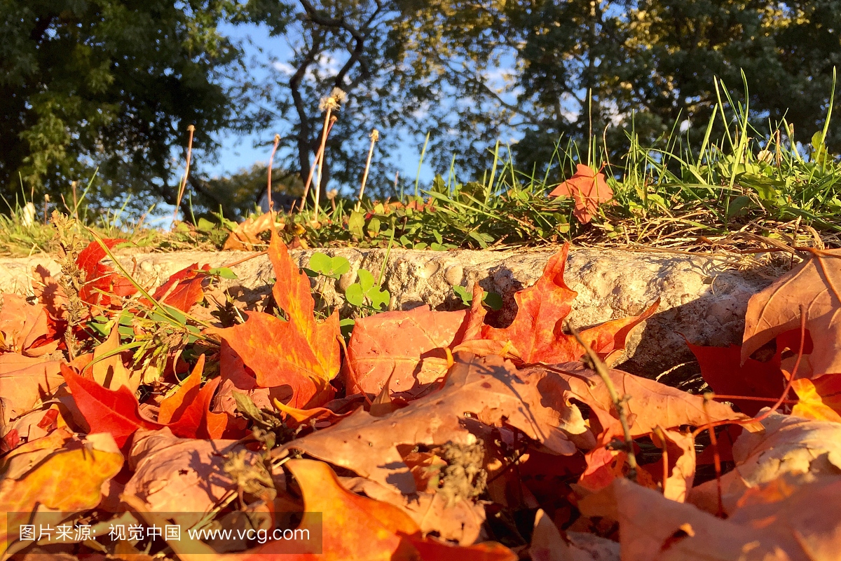 郊区,新英格兰,特写,天气