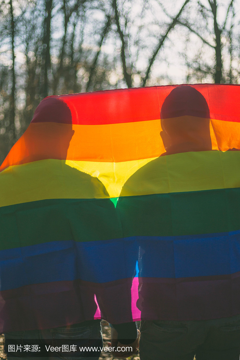 人,同性恋,同志和爱的概念 - 快乐的男同性恋夫