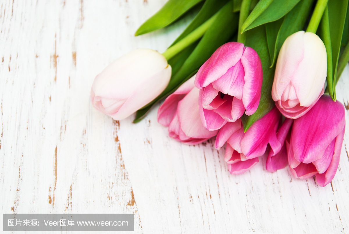 水平画幅,郁金香,组物体,开花时间间隔