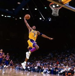 nba明星扣篮qq头像,qq头像张杰帅气明星,nba明-14kb