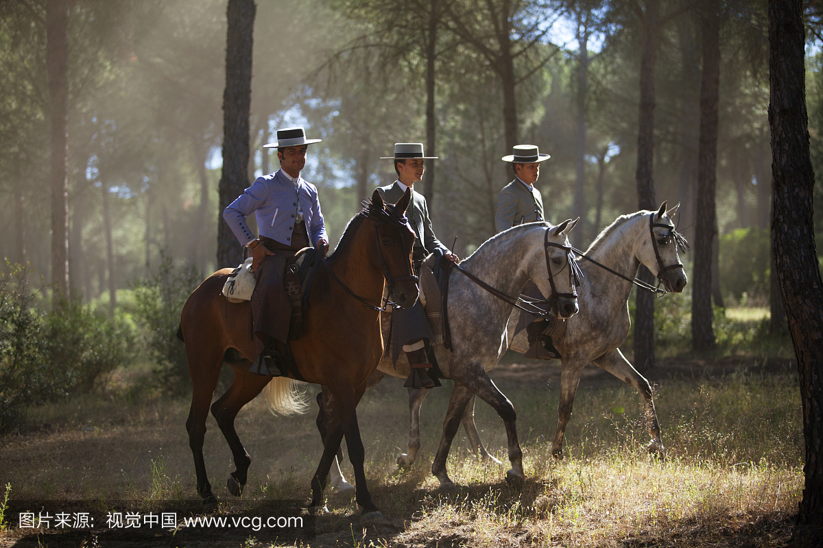 韦尔瓦,西班牙南部。罗梅罗斯在马背上途中,一