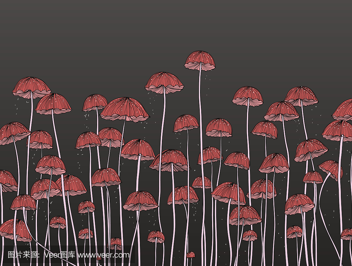 水母,海蜇,蚝蘑,粗皮北风菌