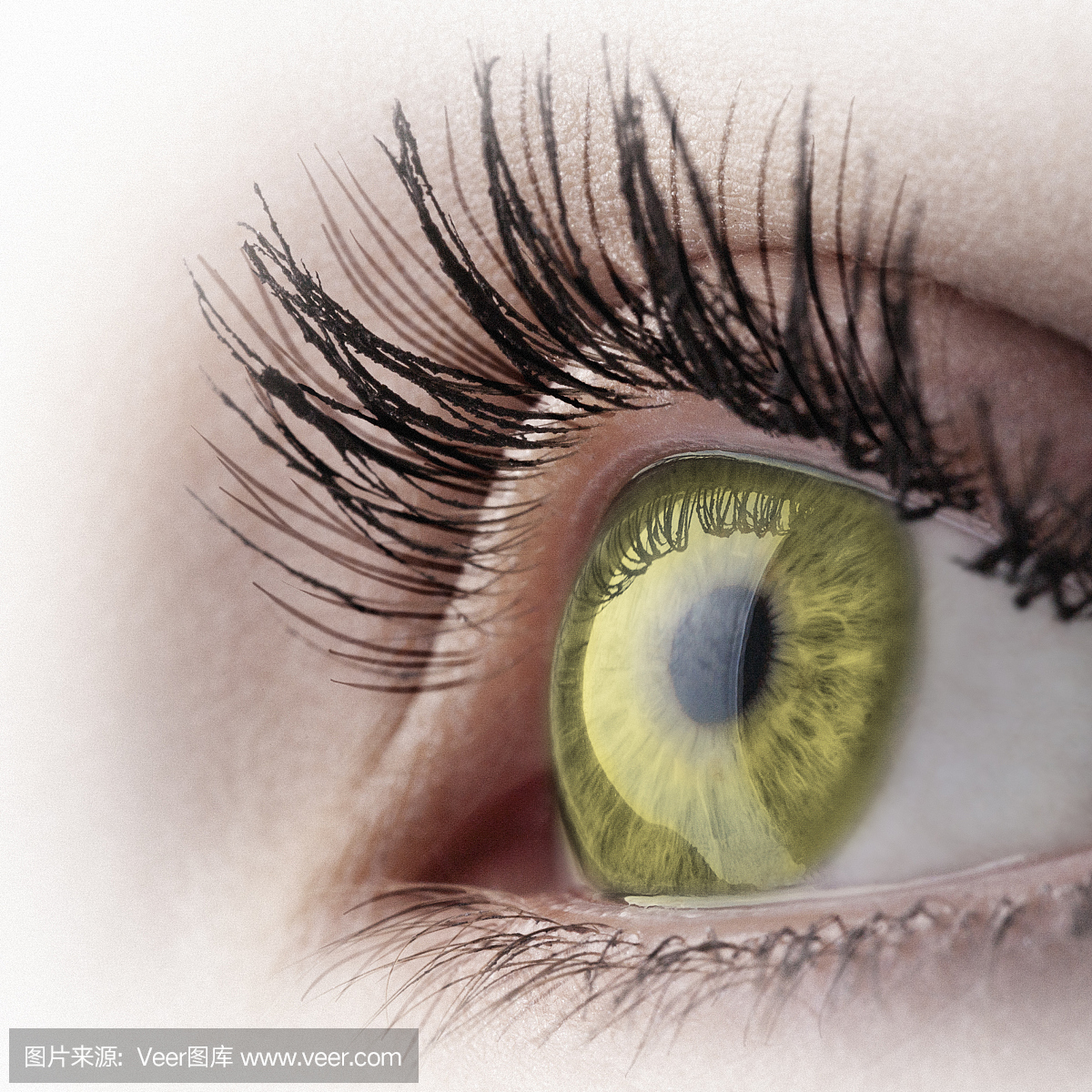 眼部手术,割双眼皮,近视眼手术,眼科一声