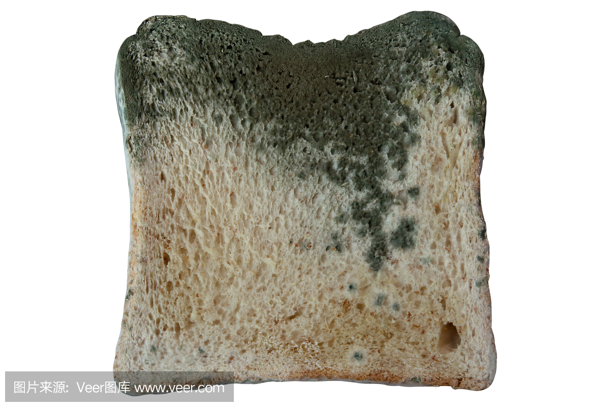 在孤立的白色背景上的面包发霉,不可食用的食