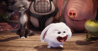 爱宠大机密兔子表情包下载_爱宠大机密兔子动-1032kb