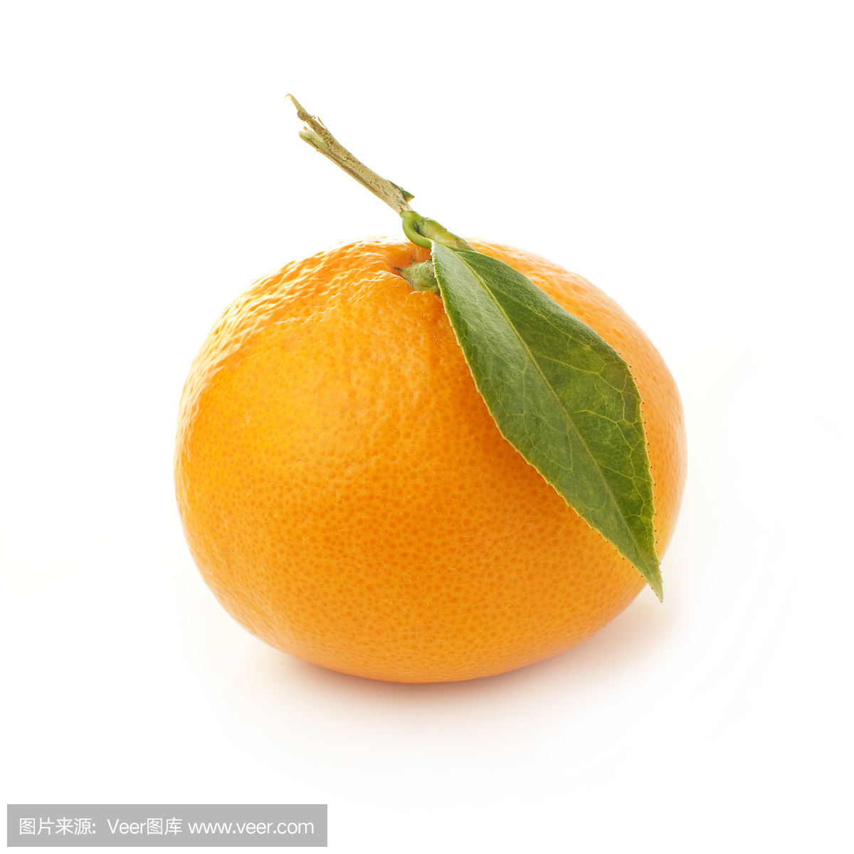 英文字母C,C,字母C,C字母