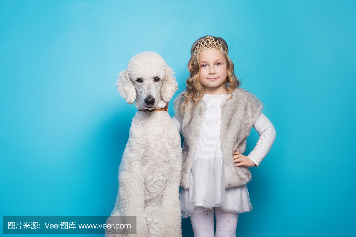 美丽的小公主与狗。友谊。宠物。在蓝色背景的
