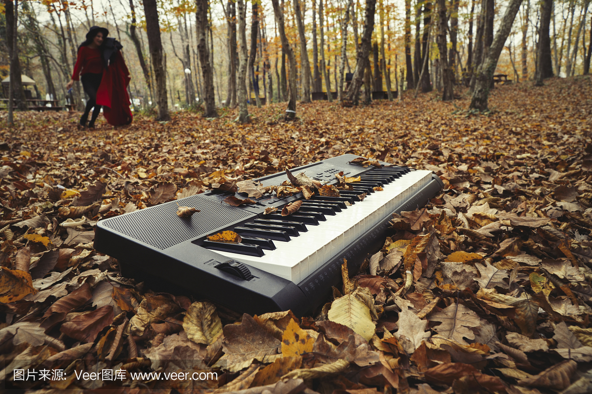 键盘播放器钢琴在森林秋天