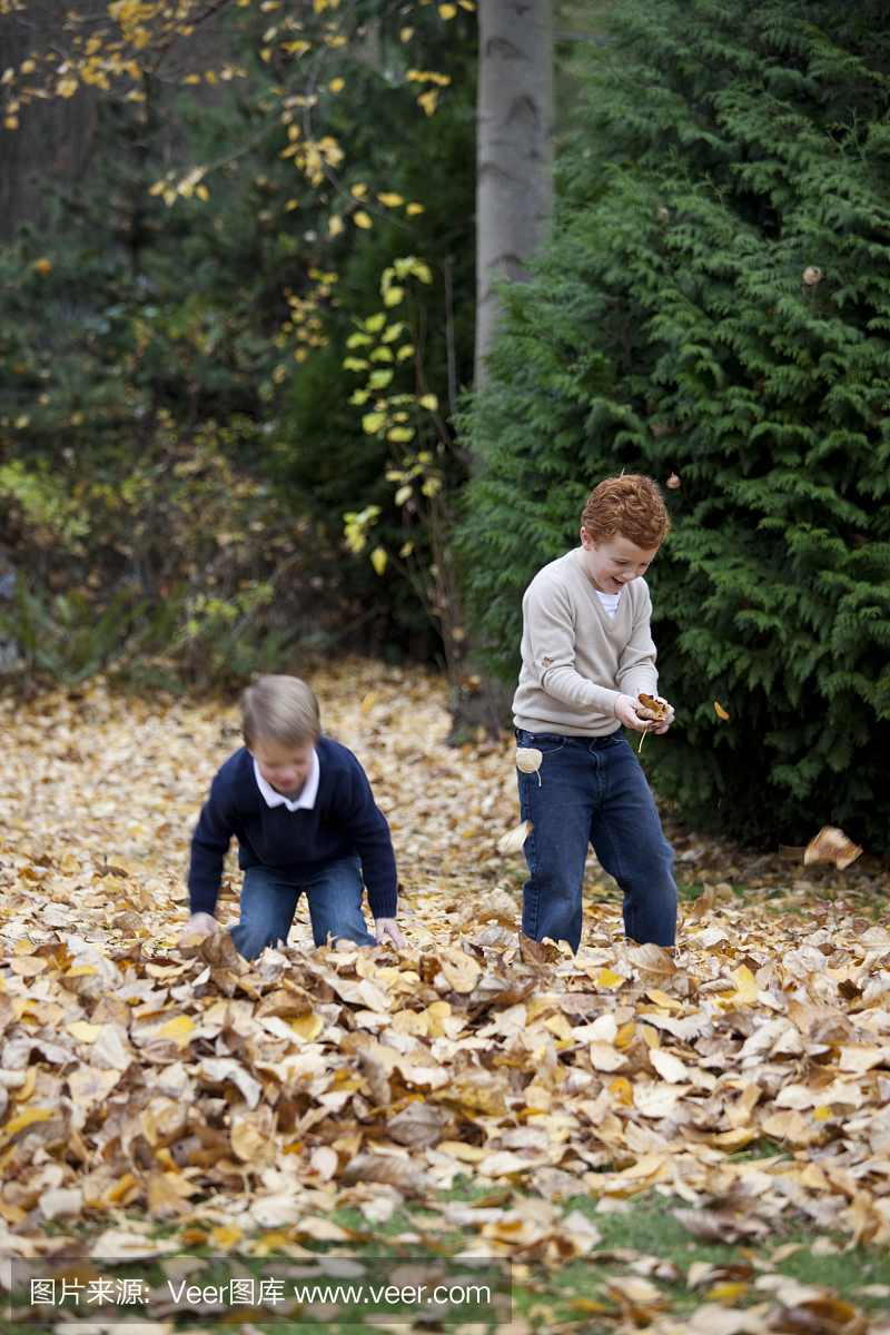 两个年轻的兄弟户外玩秋天的叶子