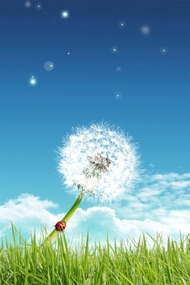 背景 壁纸 矢量 植物 种子 266_400 竖版 竖屏 手机