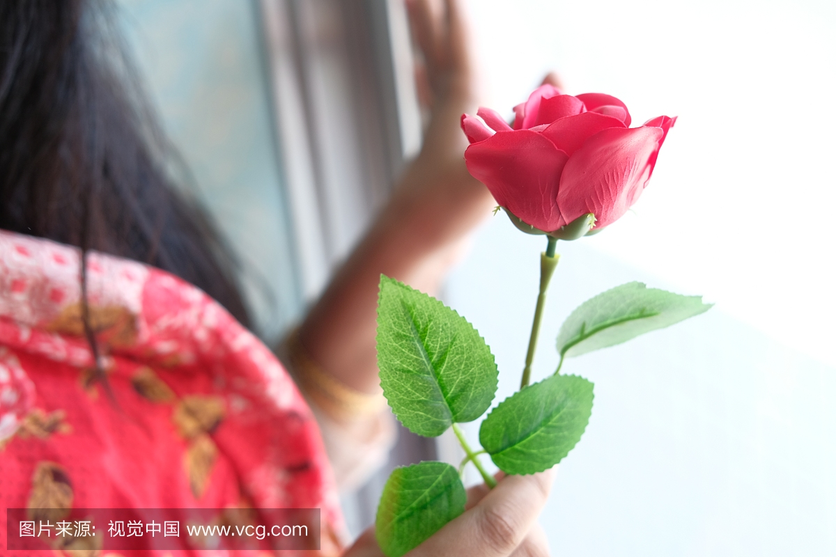 一个年轻的成年女孩抱着红玫瑰,情人节的概念