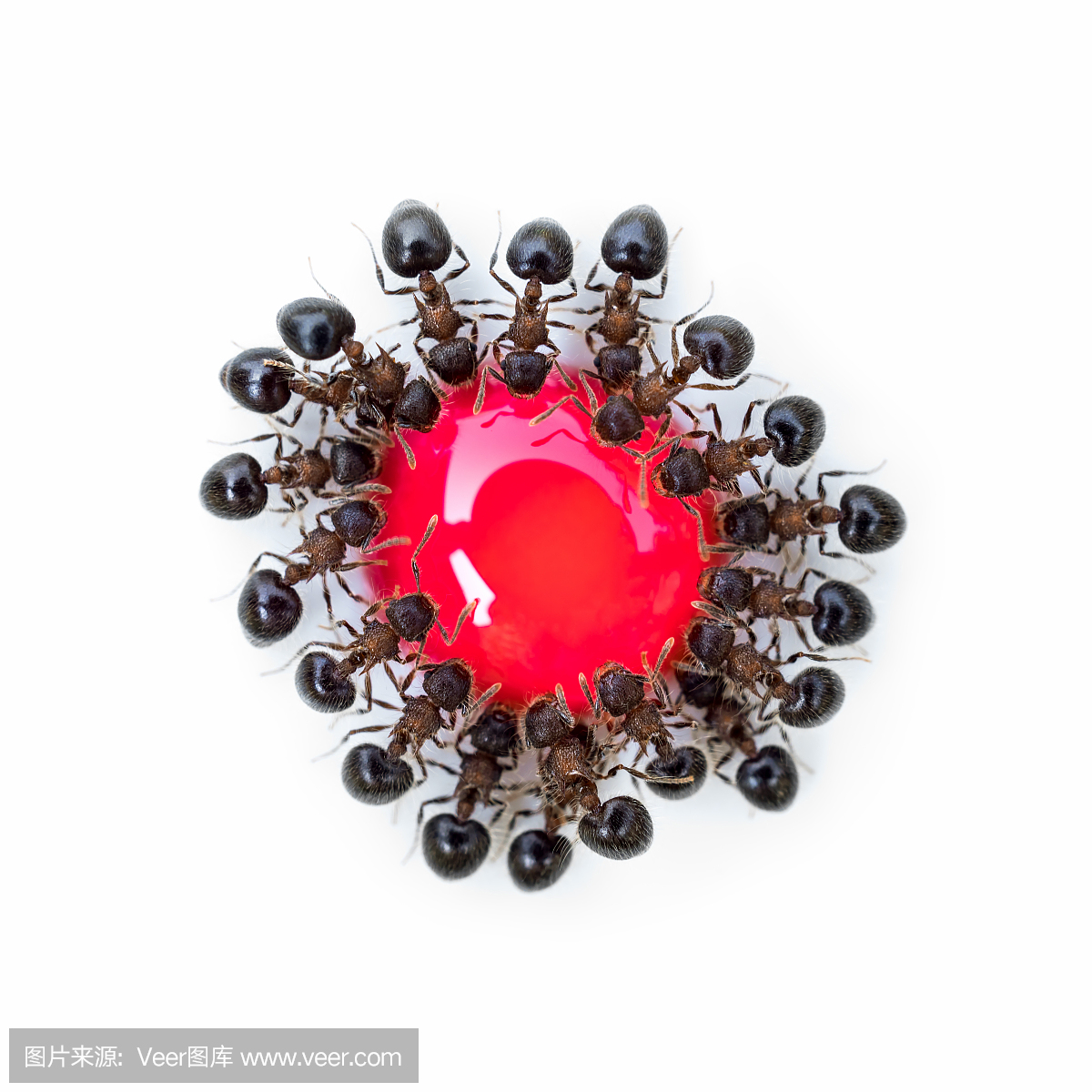 大肚腩,大腹便便,大肚子,大粗腰