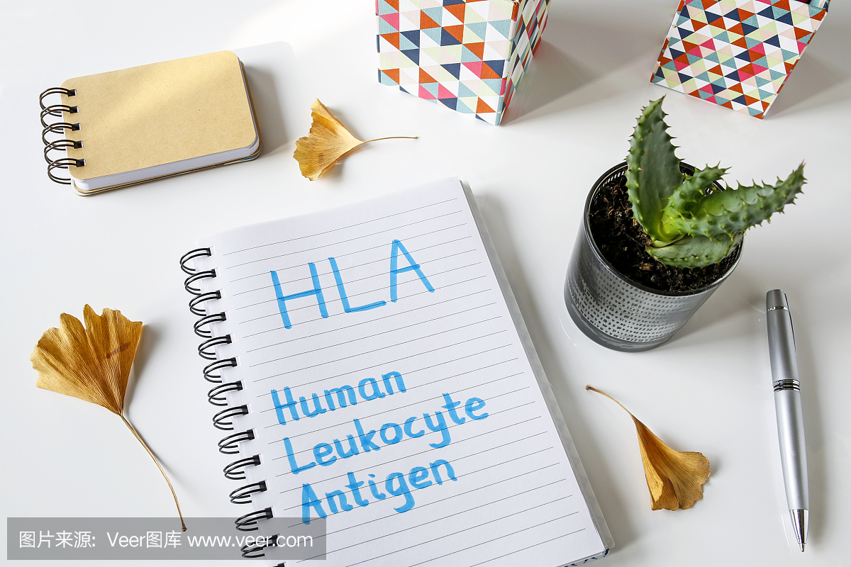 人类白细胞抗原HLA写在笔记本上