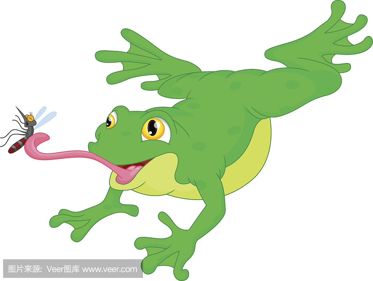 蚊子,蚊,蚊子图片,灭蚊