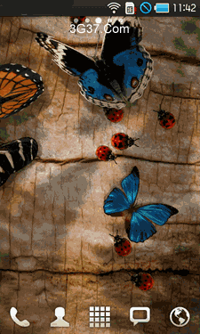 漂亮的蝴蝶飞啊飞动态手机壁纸_漂亮的蝴蝶飞-78kb