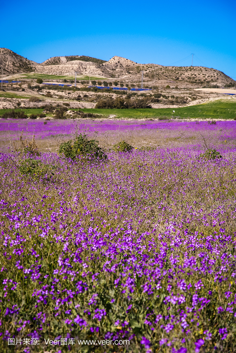 伊比利亚风格,伊比利亚人,伊比利亚文化,伊比利