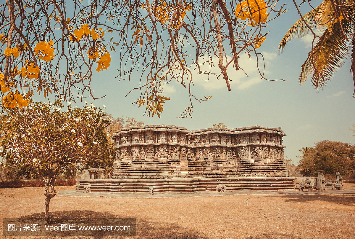 印度历史建筑的例子。棕榈树和12世纪Hoysal