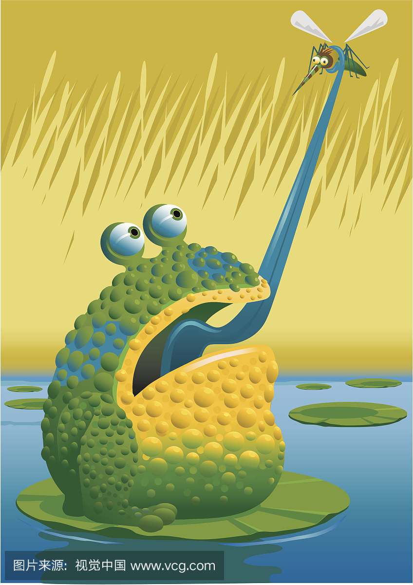 芦苇,簧片,芦苇荡,蚊子