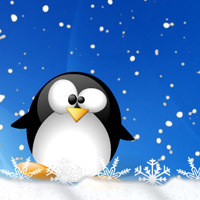 qq头像动漫飞翔的企鹅_动漫头像_qq头像大全-230kb