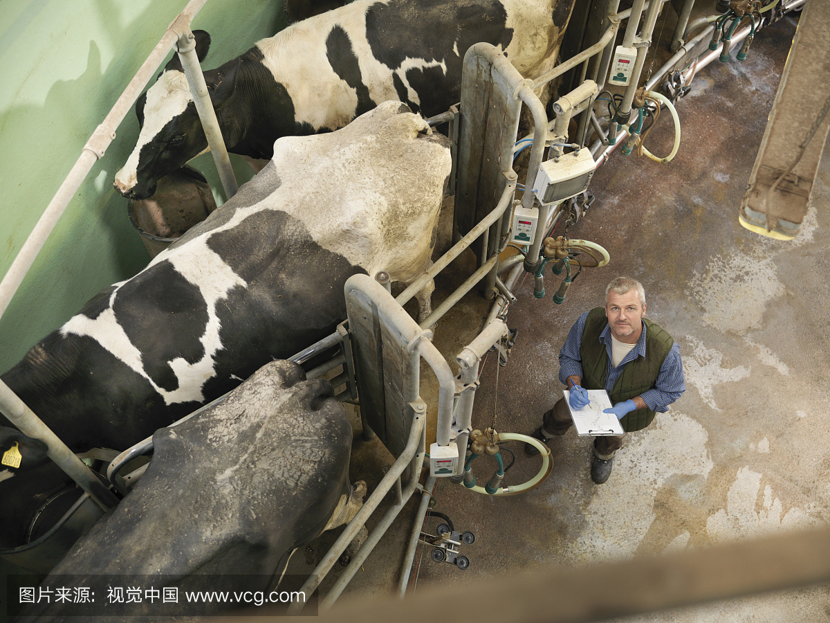 在奶牛场,高角度的奶牛场的旋转挤奶室的农民