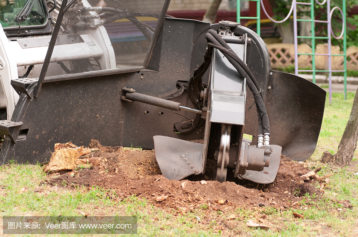 广西壮族自治区公民政府门户网站