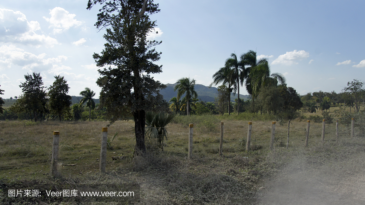 多米尼克山风景