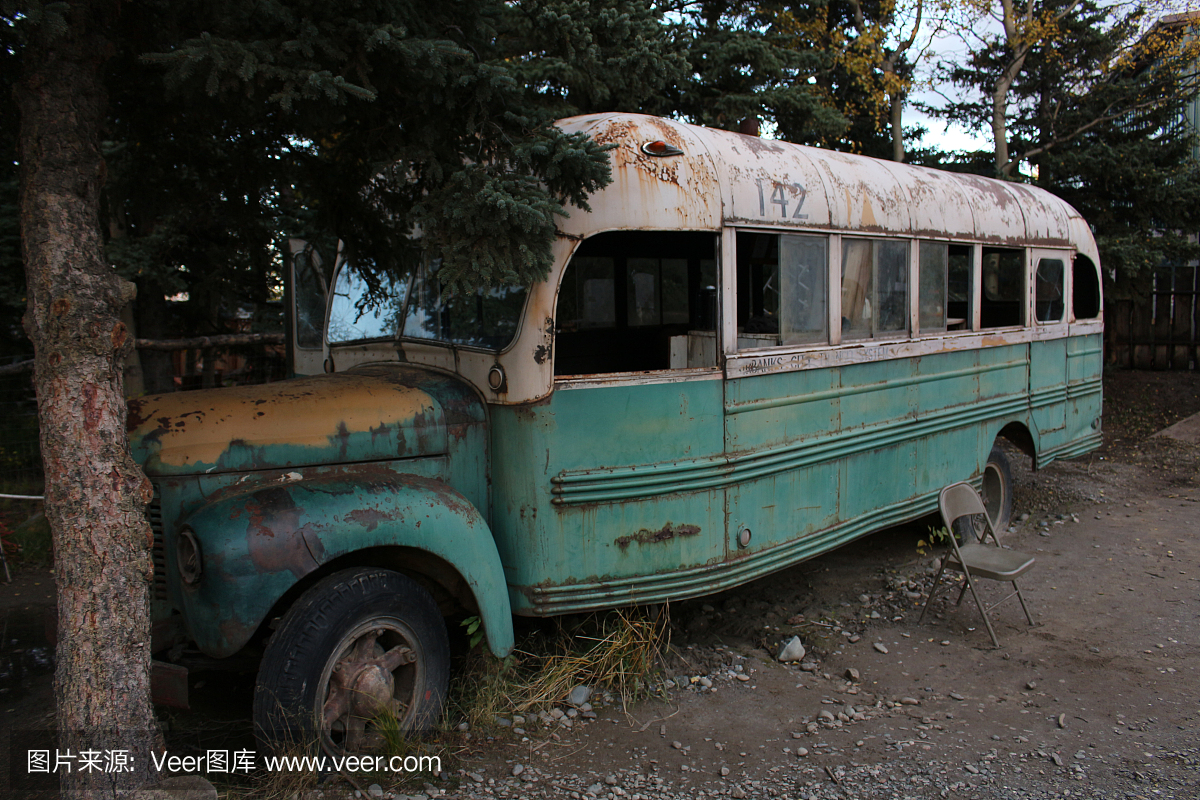 摄影,巴士,电影,美国