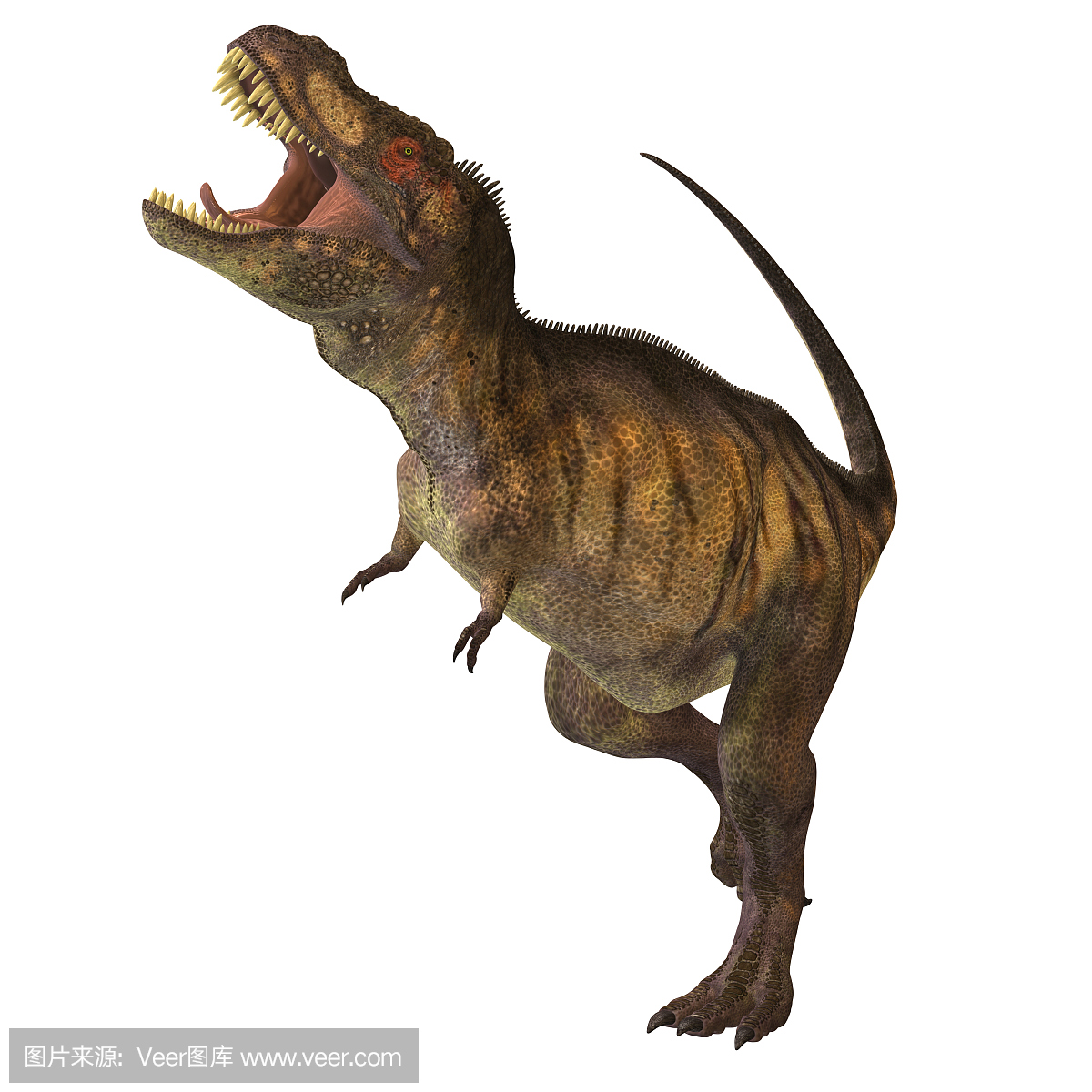 三叠系,三叠纪岩石,三叠纪,侏罗纪